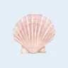 Ảnh hồ sơ của natalie 🐚