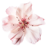 Ảnh hồ sơ của NotesFromEvie