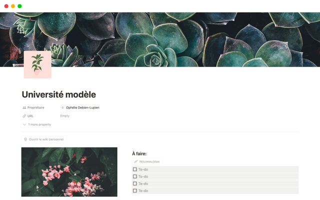 Planification Université