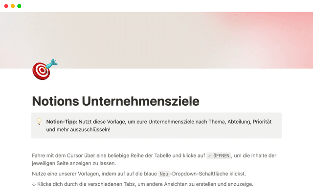 Notions Unternehmensziele